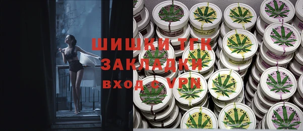 винт Арсеньев
