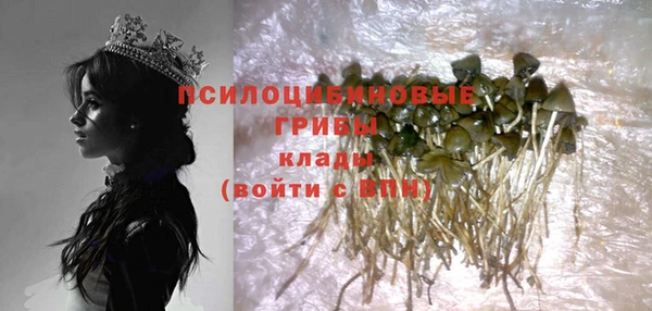 spice Аркадак