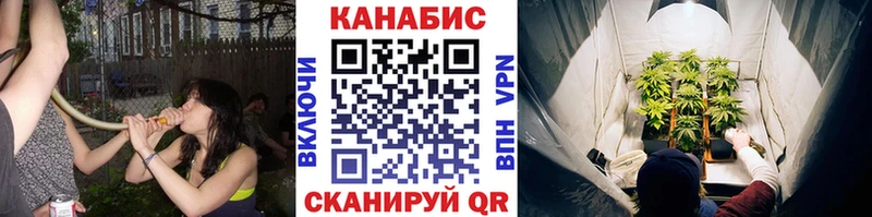 Бошки марихуана план  mega как войти  Долгопрудный 